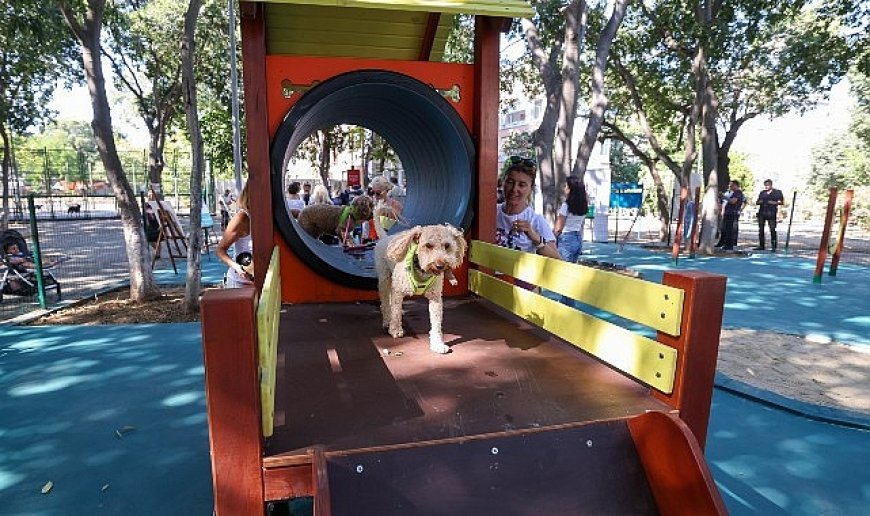 Bakırköy’ün İkinci Pati Parkı Açıldı