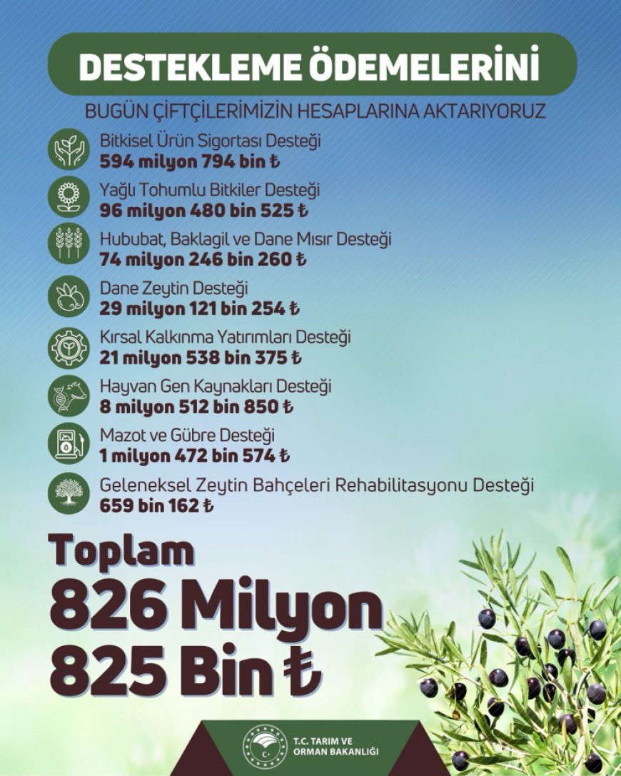 Çiftçilere 826 milyon TL’lik destek hesaplarda