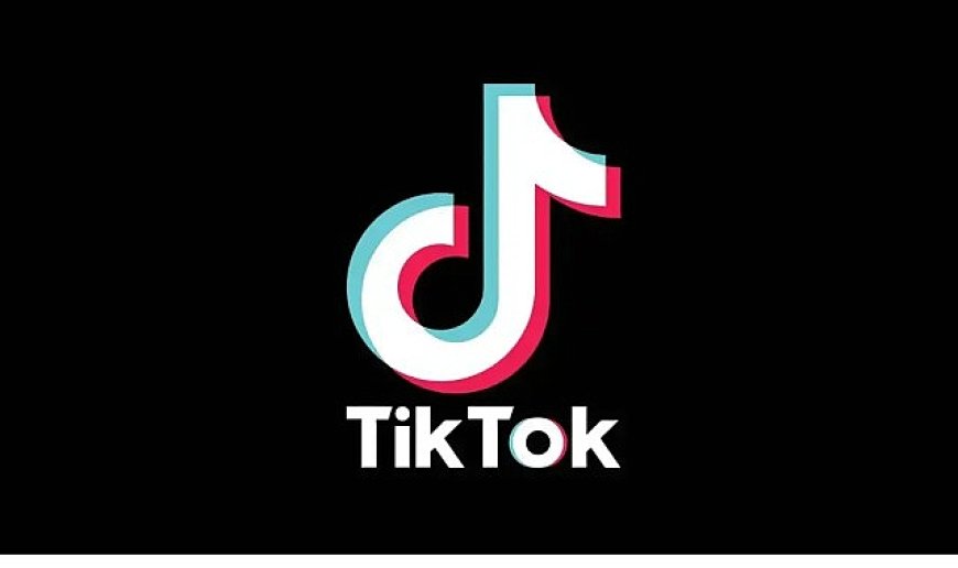 TikTok araştırmasına göre arama alışkanlıkları değişiyor, kullanıcılar artık “ilham” peşinde!