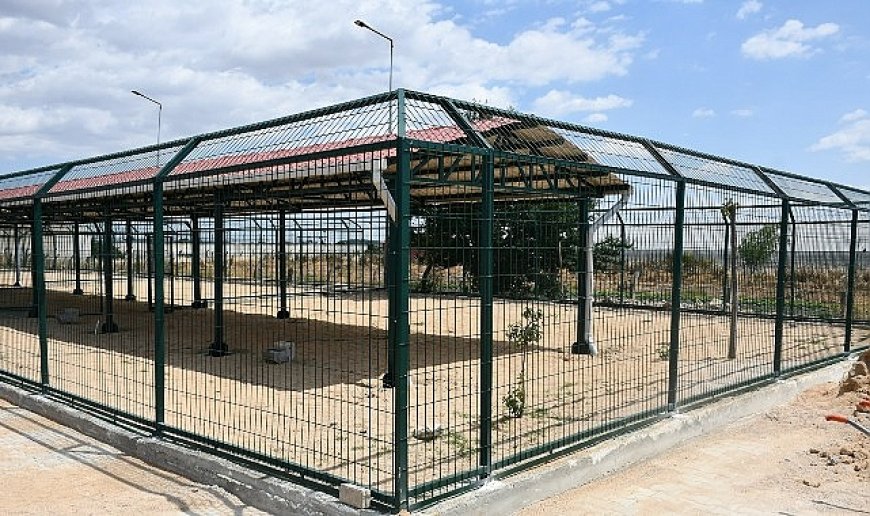 Can dostların yaşam alanları büyütülüyor