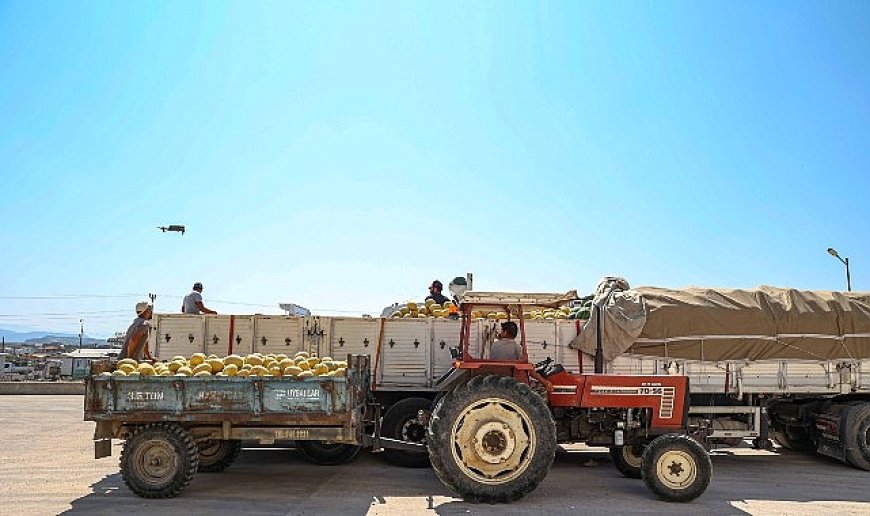Manavgat Yeni Hal Toptancı Kompleksi üreticilerin ve tüccarların yüzlerini güldürüyor