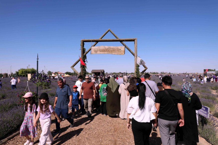 Konya Karatay’ın mor güzelliği rekorla taçlandı