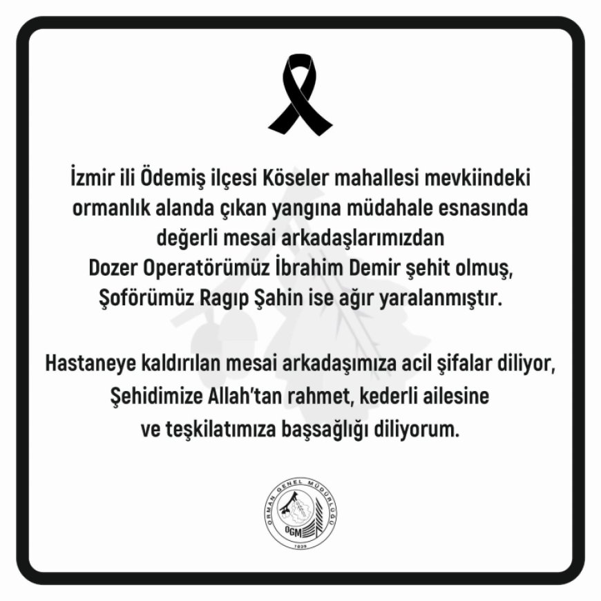Orman işçisi İbrahim Demir İzmir yangınında şehit düştü!