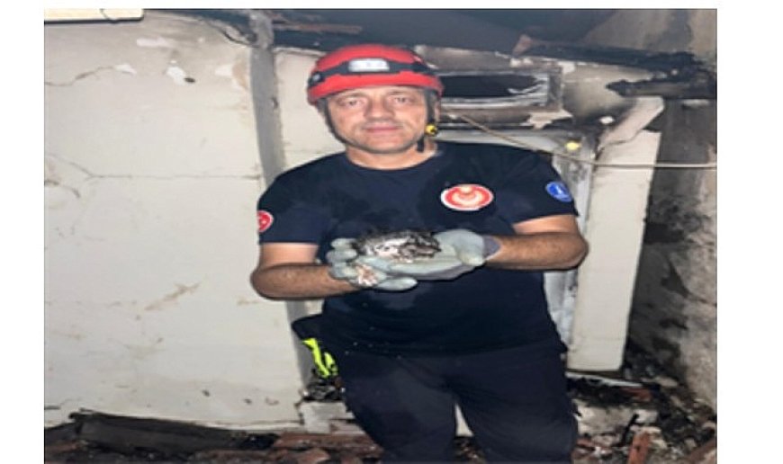 Büyükşehir yangın bölgelerindeki tüm canlıların yardımına koştu