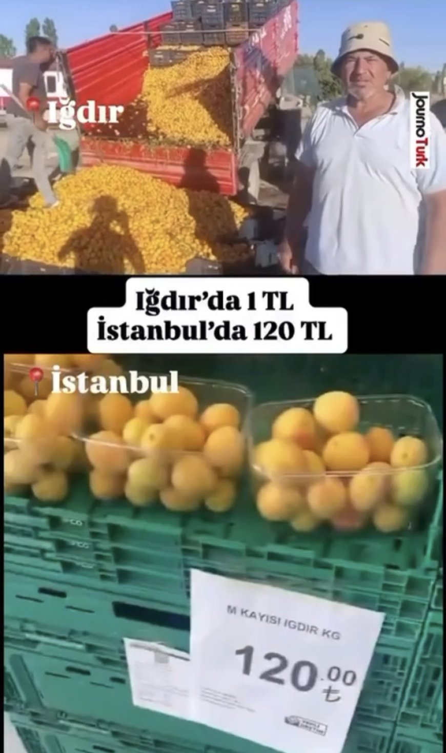 1 TL’lik kayısı paylaşımı 1,4 milyon TL cezaya patladı! Yanıltıcı paylaşıma milyon liralık ceza!