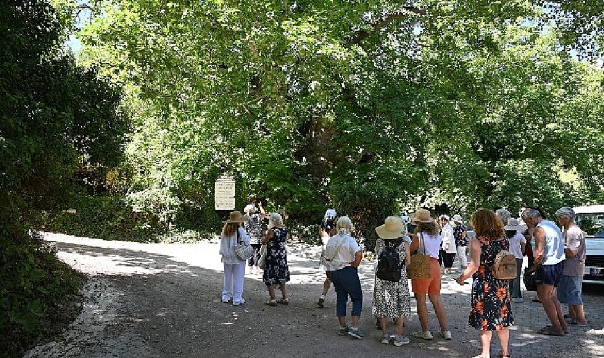 Kemer’de “Mor turizm” başladı