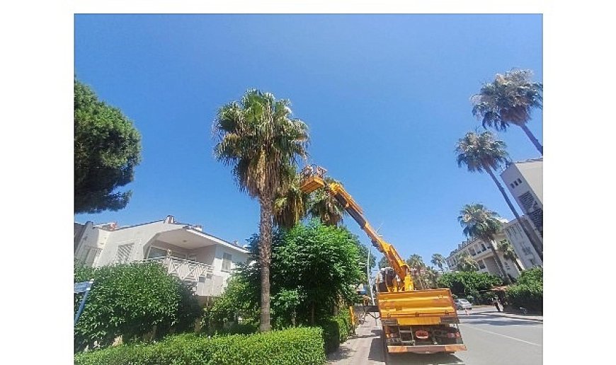 Kemer’de yeşil alanlarda bakım çalışmaları