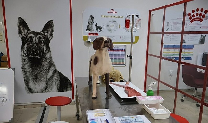 Uludağ Üniversitesi Klinik Beceri Laboratuvarı Açıldı