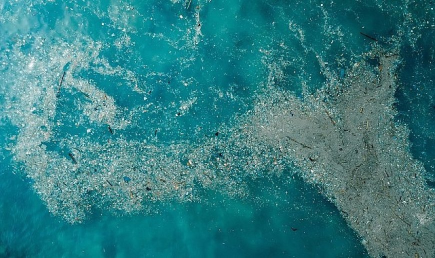 Doğayla Uyumlu Yaşamalıyız: Plastik Kirliliğine Son Ver, Yaşamı Koru!