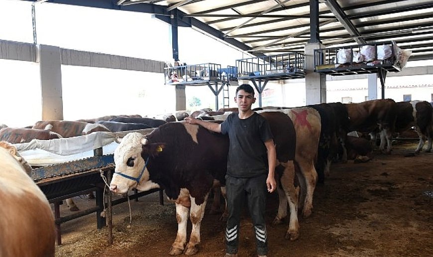 Başkan Aydın kurban pazarını ziyaret etti