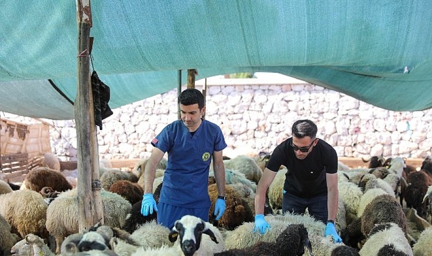 Buca’da Kurban Bayramı öncesi sıkı denetim