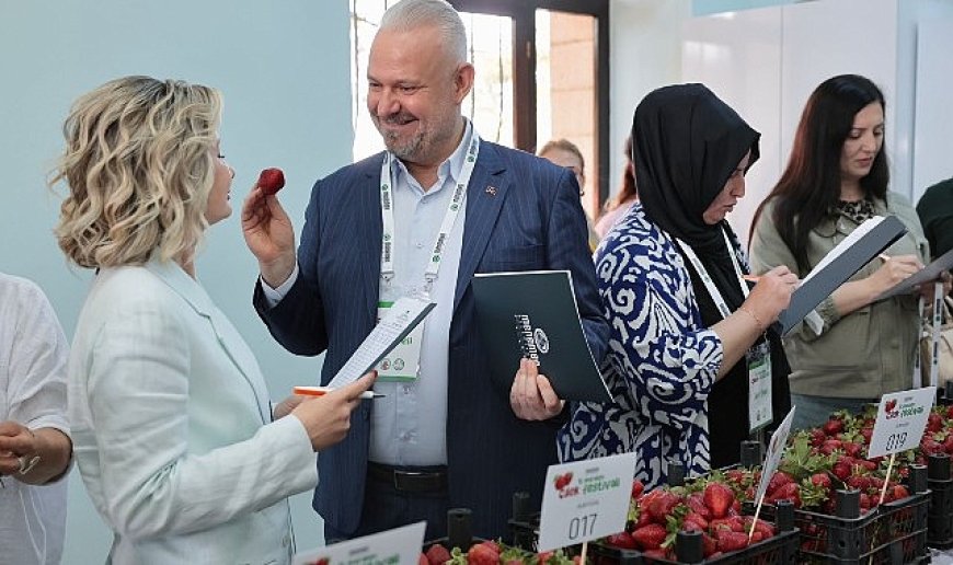 Emiralem Çilek Festivali rekor kırdı: milyonu geçti!