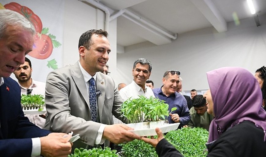 400 bin yazlık fide üreticiyle buluşuyor