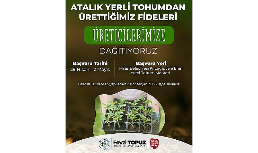 Milas Belediyesi Ata Tohumlarını Yaşatmak Amacıyla Sebze Fidesi Dağıtımı Gerçekleştirecek