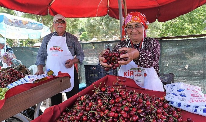 Bornova’da tarımsal üretime güçlü destek   