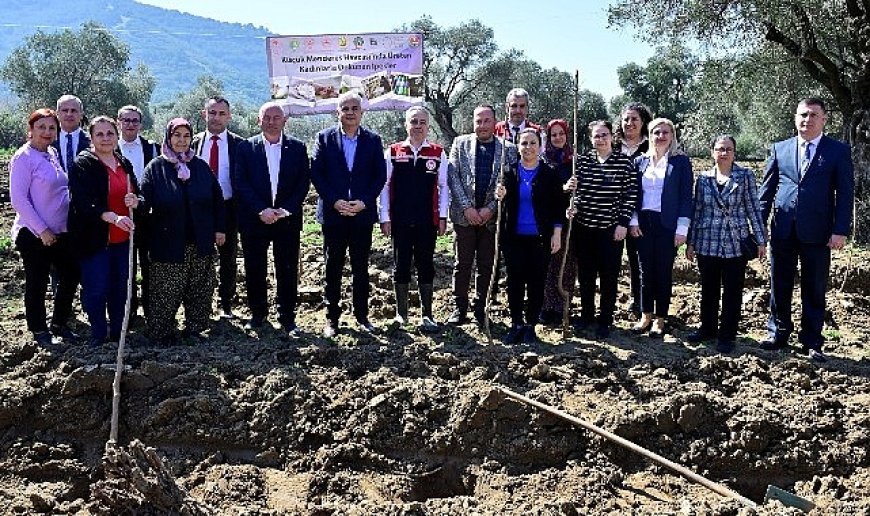 İzmir’de Kadın Çiftçilere Destek: Dut Fidanları Toprakla Buluştu!