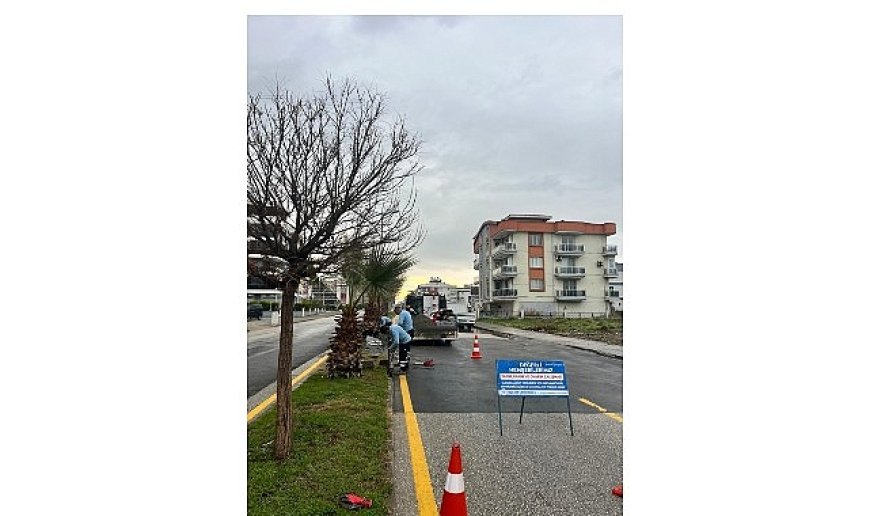 Aydın’ın Ulaşım Altyapısı Başkan Çerçioğlu’nun Çalışmaları ile Güçleniyor