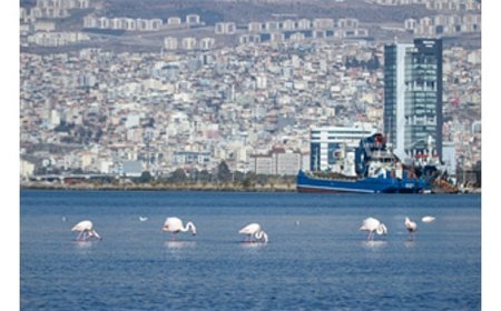 İzmir’de kiralar 20 kat arttı