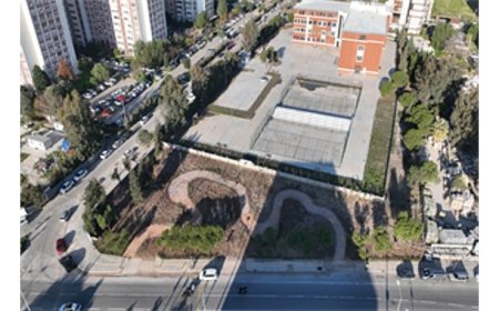 Betonun arasından orman çıktı