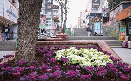 Çansera’dan Kent Merkezine Kış Renkleri