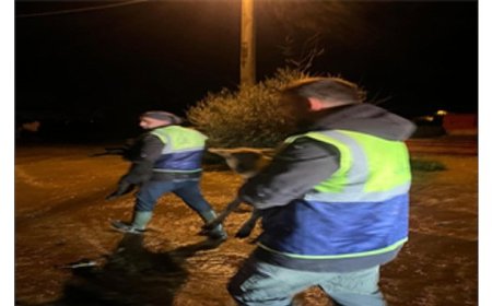 Canlar için Büyükşehir ekiplerinin özverili çabası