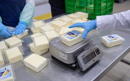 Büyükşehir’den peynir hamlesi