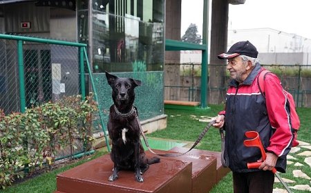 Maltepe’de “Pati Park” açıldı