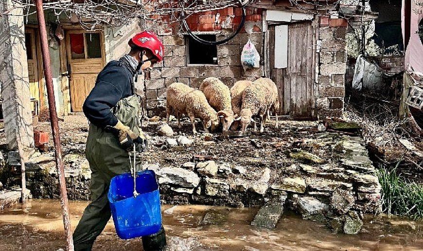 Büyükşehir ekipleri tüm canlılar için aynı özveriyle çalışıyor