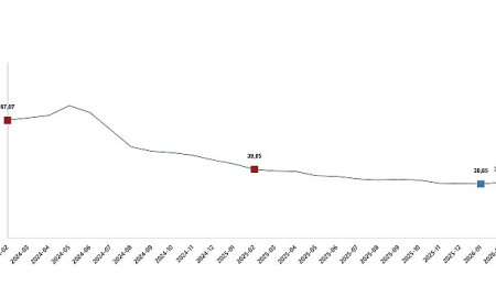 Tüketici Fiyat Endeksi, Şubat 2026