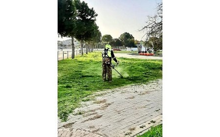 Didim Belediyesi’nin Çalışmaları ile İlçedeki Parklar Daha Güzel ve Daha Yeşil