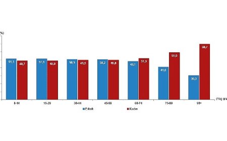 İstatistiklerle Kadın, 2025