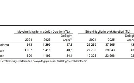 Tarımsal İşletme İşgücü Ücret Yapısı, 2025