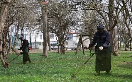 Kartepe’de Bahar Temizliği Yabani Ot ve Dikenler Temizleniyor