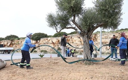 Didim Belediyesi, Didim’e Çıkan Yolları Daha Da Güzelleştiriyor