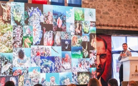 İzmir Körfezi'ne bilimsel bakış