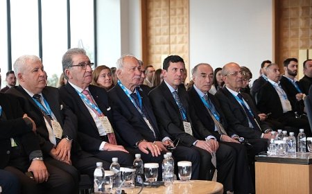 Zeytinyağı sektörü doğru rekolte çalışması ve AB’den kota istiyor