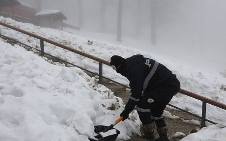 Kartepe Mesire Alanı’nda Ekipler Gece Gündüz Sahada