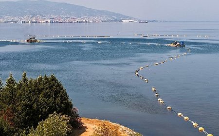 Körfezdeki dev temizlik dünya gündeminde