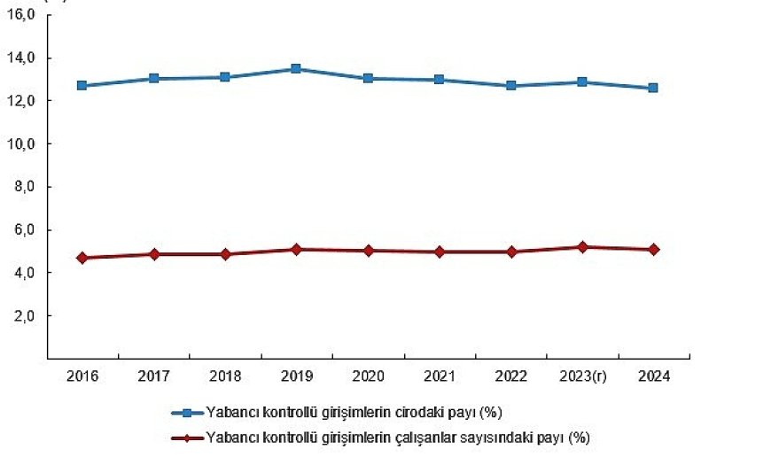 Yabancı Kontrollü Girişim İstatistikleri, 2024
