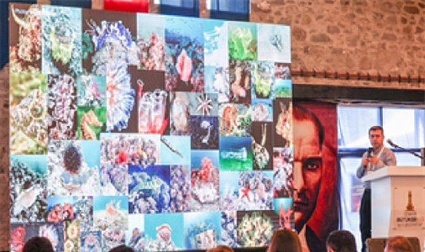 İzmir Körfezi'ne bilimsel bakış