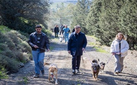 Barınaklardan 3 binin üzerinde hayvan sahiplendirildi