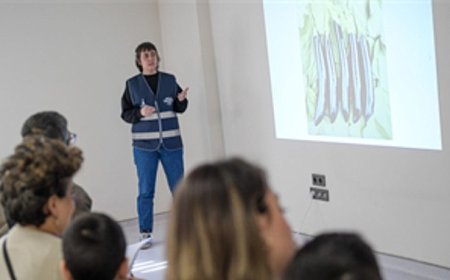 Doğa ve patili dostlar şifa dağıtıyor