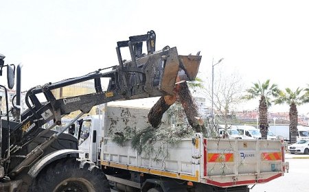 Başkan Çerçioğlu’ndan Aydın’ın Yeşil Dokusunu Geleceğe Taşıyan Çalışma