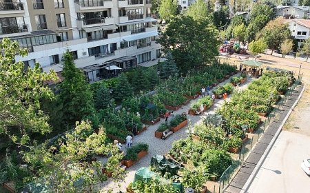 Başkan Güner Niyet Mektubunu İmzaladı