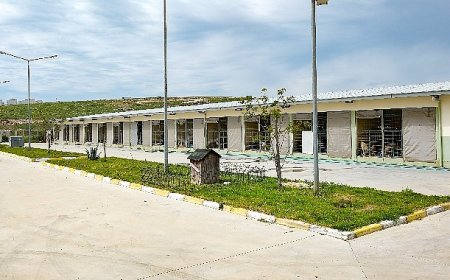 Can dostlar için Menemen'de rekor tedavi sayısına ulaşıldı