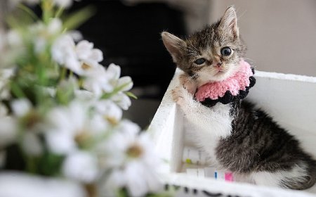 Buca Belediyesi ‘Zero’ için seferber oldu