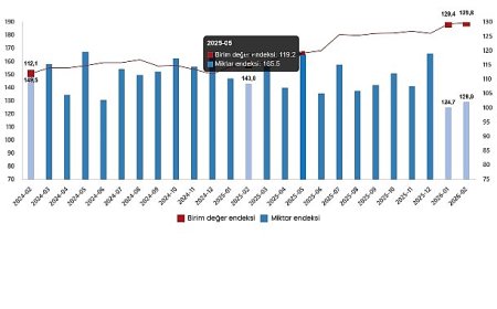 Dış Ticaret Endeksleri, Şubat 2026