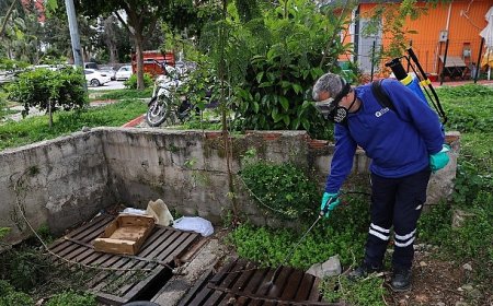 Büyükşehir’den sinek üreme alanlarında yoğun çalışma