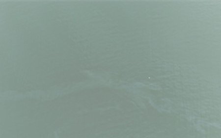 İzmir Körfezi’nde kirlilik alarmı: Aynı tehdit 11. kez görüldü