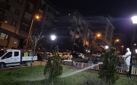 Çankaya’da Sinek ve Haşereye Karşı Gece Mesaisi